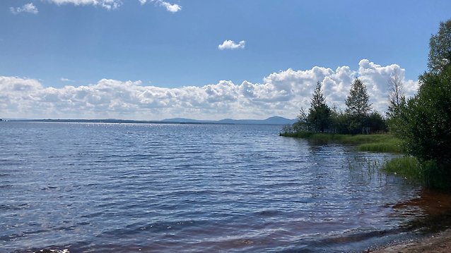 Fiske i Siljan